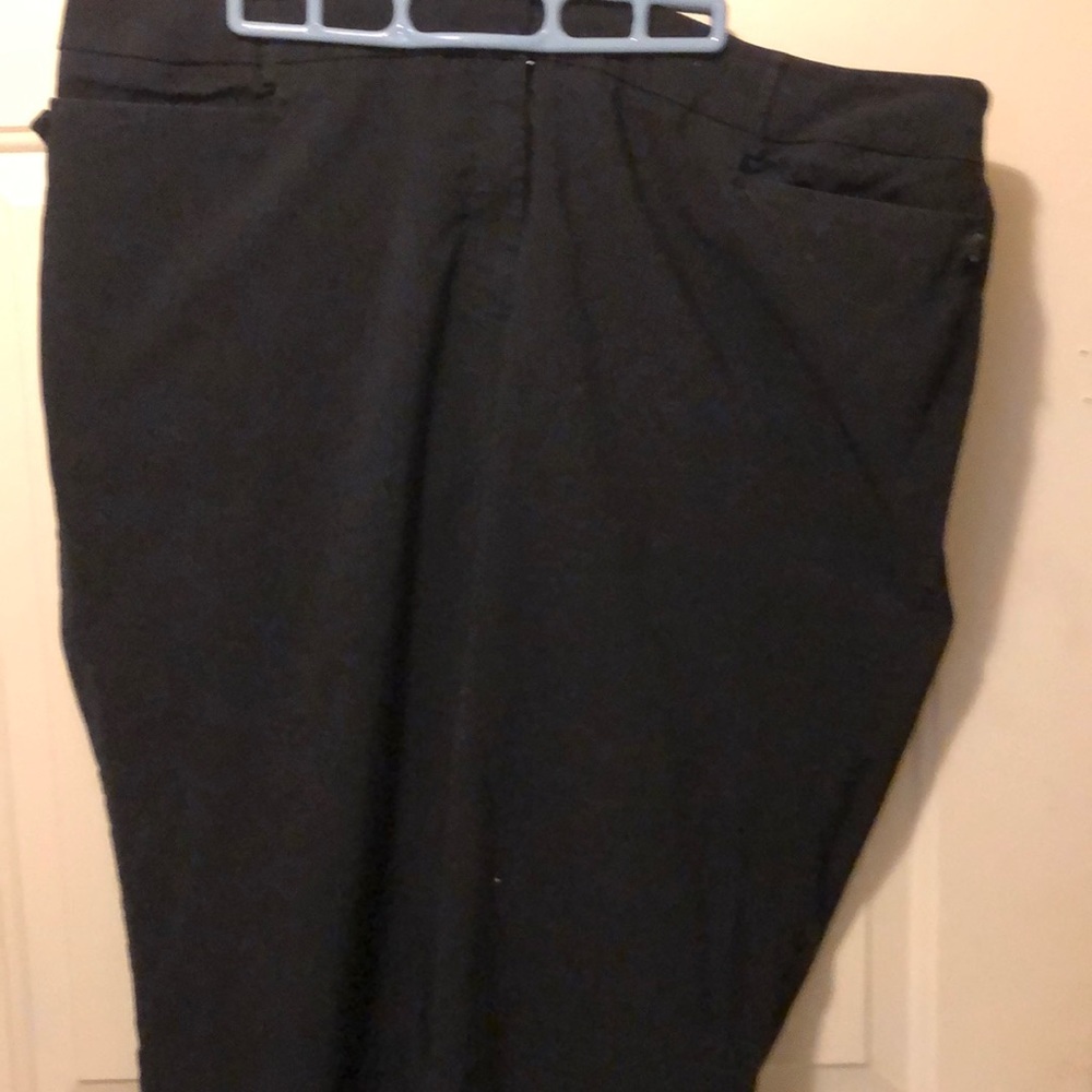 Black Lane Bryant Pants 24WP